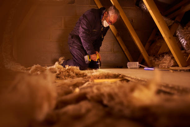 Best Insulation Maintenance and Repair in Wynne, AR